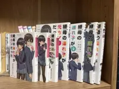 継母の連れ子が元カノだった小説、漫画セット