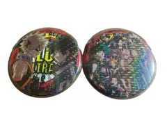 缶バッチコレクション第2弾　ホログラムレア