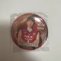 necレッドロケッツ 山田二千華グッズセット(タオル、ポーチ、うちわ) necレッドロケッツ 山田二千華グッズセット(タオル、ポーチ、うちわ)