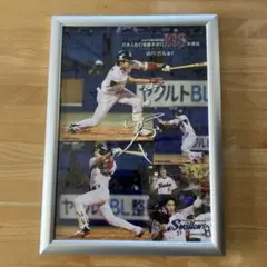 広島東洋カープ選手会 2012年 サイン 非売品 前田智徳 前田健太など 広島東洋カープ選手会 2012年 サイン 非売品 前田智徳 前田健太など