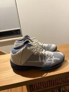 Item thumbnail for item 57c51607-3360-40df-afeb-6ee125d49455