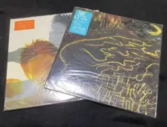 wyolica アナログレコード　2枚セット