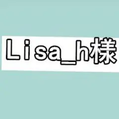Lisa_h様リクエスト 1点 まとめ商品