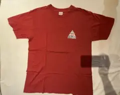 岩国基地 友好祭 2010 Tシャツ Mサイズ