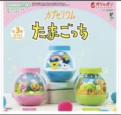 たまごっち カプセリウム まめっち＆みみっち