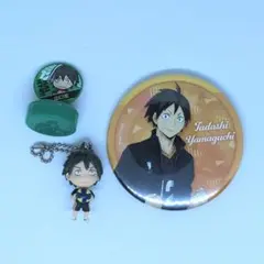 ハイキュー！！　山口忠