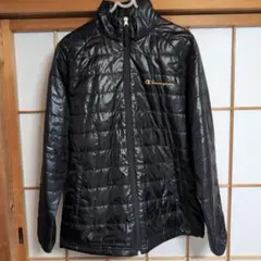 Item thumbnail for item 2a212f2f-ec2b-40a6-bb3c-acc3c0f55fc0