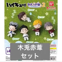 ハイキュー ねむらせ隊2 木兎 赤葦セット