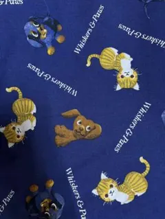 Item thumbnail for item 54beb793-2eeb-47e0-8787-958668d26faf