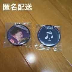 SEVENTEENmuseum DINO 缶バッジ