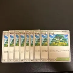 ポケモンカード(活力の森)