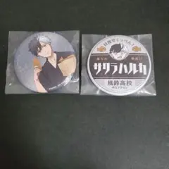 WIND BREAKER 一番くじ 缶バッジ 桜遥