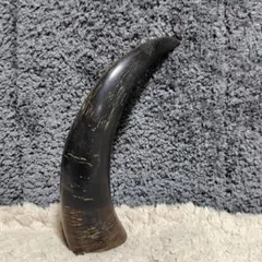 2025年最新】水牛 角 オブジェの人気アイテム - メルカリ