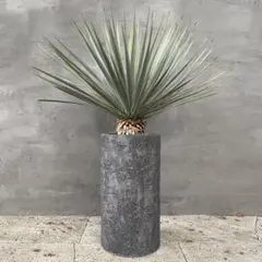 2026年最新】サファイアスカイズの人気アイテム - メルカリ