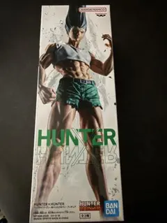 2026年最新】hunter×hunter ゴンさん フィギュアの人気アイテム - メルカリ