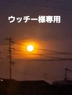 ウッチー様再出品のサムネイル