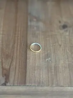 Item thumbnail for item 51653c11-61a4-4fb0-8126-b9975c62ee04