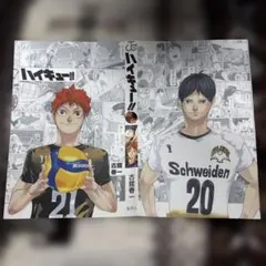 ハイキュー‼︎ ブックカバー
