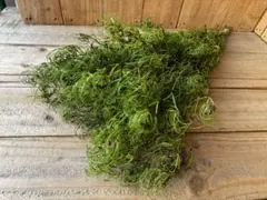 Kei様 リクエスト 2点 まとめ商品