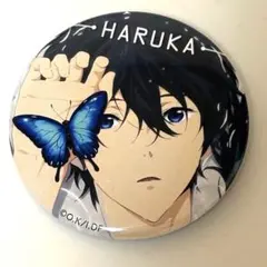 Free! DF Brand New Future ホログラム缶バッジ 七瀬遥 Free! DF Brand New Future ホログラム缶バッジ 七瀬遥 - メルカリ