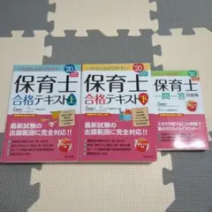 いちばんわかりやすい保育士合格テキスト 上下 '20年版　保育士一問一答問題集