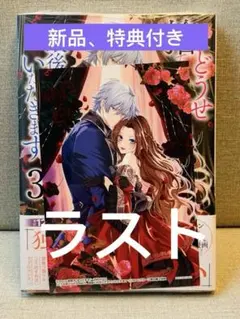 どうせ捨てられるのなら、最後に好きにさせていただきます　3巻