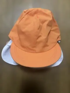 Item thumbnail for item c7a66813-43a2-408b-a96b-1e434d31e7eb