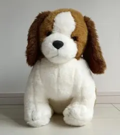 Item thumbnail for item 73494adc-dc82-466c-9151-2c6168250479