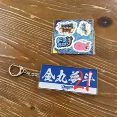 2026年最新】金丸の人気アイテム - メルカリ