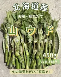 ⑦ 北海道産 天然山ウド (新芽・若芽） 500g - メルカリ
