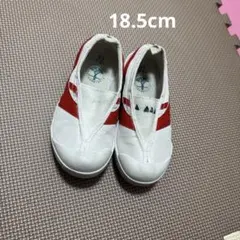 Moonstar上履きのサムネイル