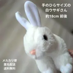 最終価格　テイクオフ　手のひらサイズ　うさぎ　ぬいぐるみ　ホワイトのサムネイル