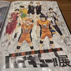 限定　ハイキュー展　連載完結記念　ハイキュー　ポスター　b2