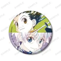 ハンターハンター アニアート 缶バッジ ゴン キルア アムニバス購入特典