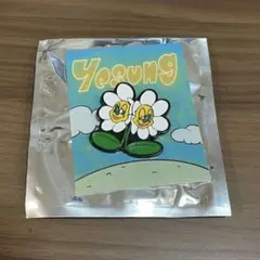 YESUNG × Koichi Yairi イェソン ピンバッジ
