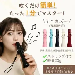 カズー　笛　楽器　サックスの様な音　カラーはブラックのサムネイル