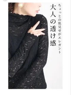 レースタートルネック長袖トップス　21日に削除します