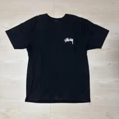 ステューシーTシャツ stussy 半袖Lサイズ