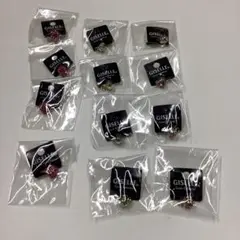 GISELLE Couer Collection チャーム 13個セット