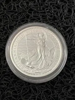 2025年最新】ブリタニア銀貨 2023の人気アイテム - メルカリ