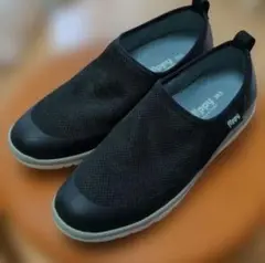 PANSY fl!ppy 24.5