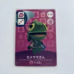 【amiibo】115 カメヤマさん