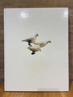 Wild Pigeon / Carolyn Drake - メルカリ