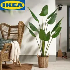 IKEA FEJKA フェイカ 人工観葉植物 ゴクラクチョウカ フェイクグリーン