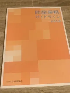 助産業務ガイドライン 2019