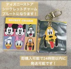プルート シークレットチャーム ディズニーストア