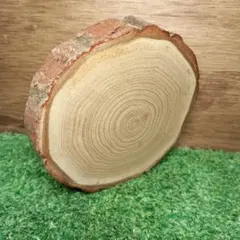 Item thumbnail for item db6ec15c-6dae-48e9-8407-5d8c3c3df7ad