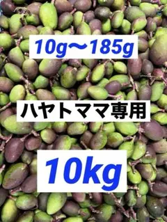 宮崎県産 摘果マンゴー グリーンマンゴー 16kg 宮崎県産摘果マンゴー グリーンマンゴー約1キロ - メルカリ