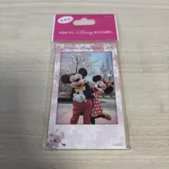 東京ディズニーリゾート ふせん 実写 桜