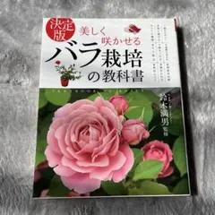 Item thumbnail for item 6ab67a78-d985-41f7-add5-fdce25cdced3